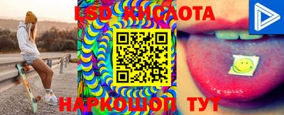 дмт Кимры
