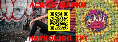 дмт Кимры